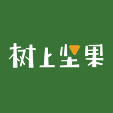 樹(shù)上堅(jiān)果網(wǎng)站建設(shè)制作